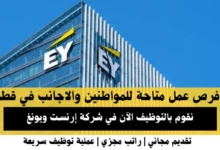 وظائف شركة إرنست ويونغ في قطر