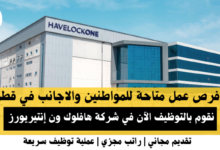 وظائف شركة هافلوك ون إنتيريورز في قطر
