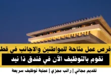 وظائف فندق ذا نيد في قطر