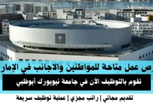 وظائف جامعة نيويورك في الإمارات