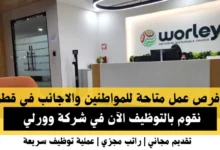 وظائف شركة وورلي في قطر
