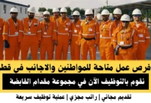 وظائف مجموعة مقدام في قطر